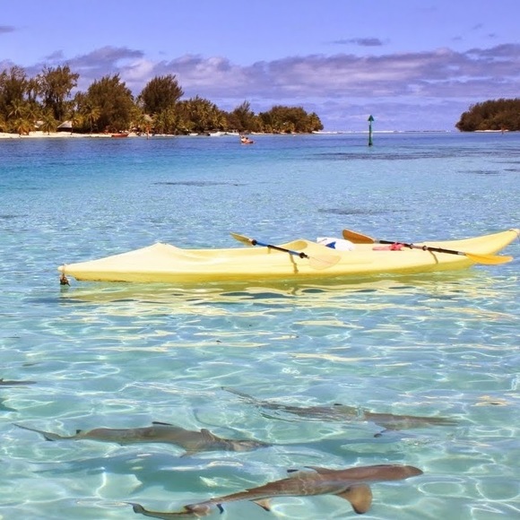 Meet your Posher, Kara - Picture 1 of 1